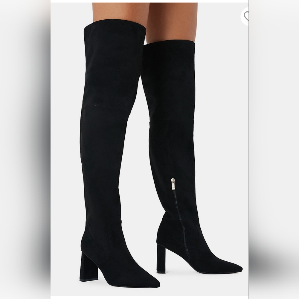 New, Never Worn Billini Micah Over The Knee Boot
